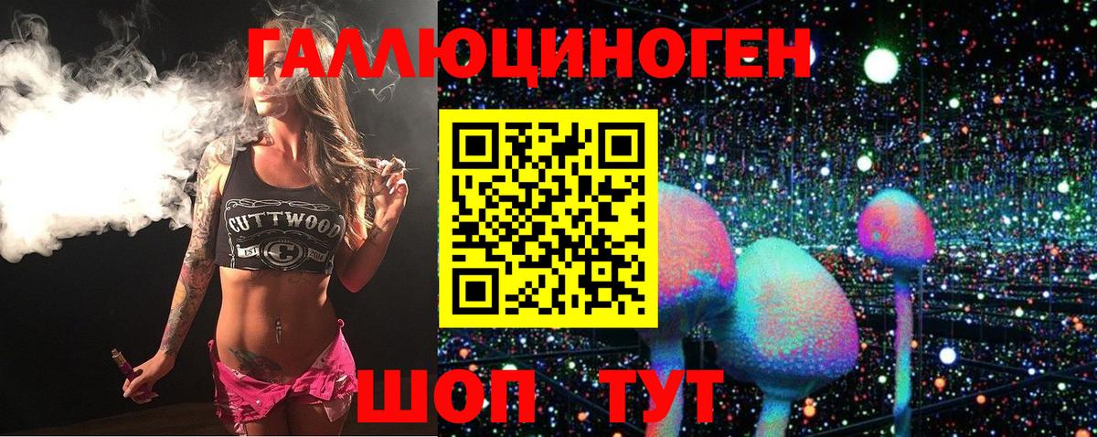 Псилоцибиновые грибы Psilocybine cubensis Балашиха