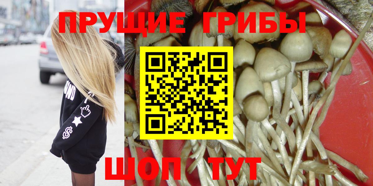 Галлюциногенные грибы GOLDEN TEACHER  хочу   Галлюциногенные грибы Cubensis  Балашиха  Вход с VPN 