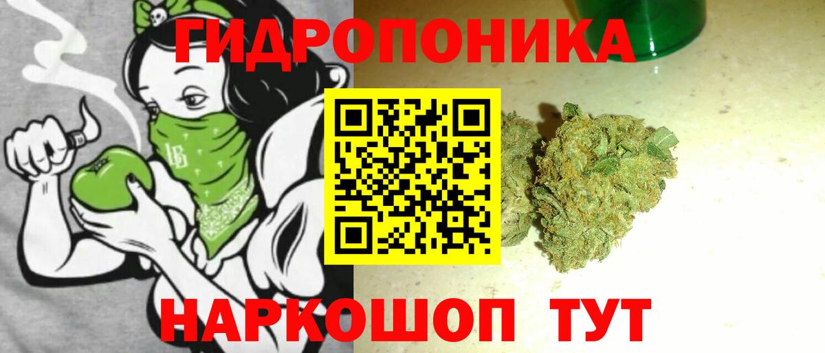 Марихуана ГИДРОПОН  Бошки марихуана индика  Вход с VPN  Балашиха  Каннабис конопля 